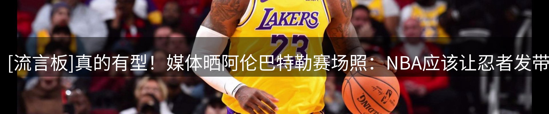 网站资讯